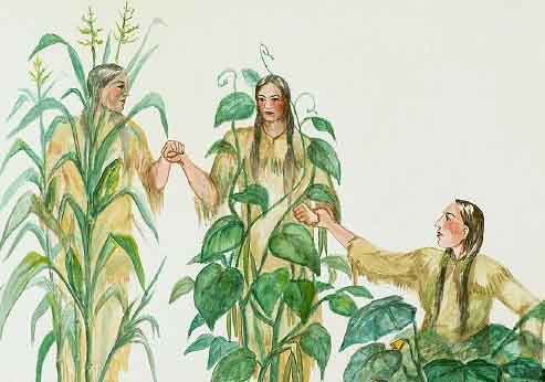 Three Sisters Corn Beans And Squash Meherrin Indian Nation   Three Sisters 